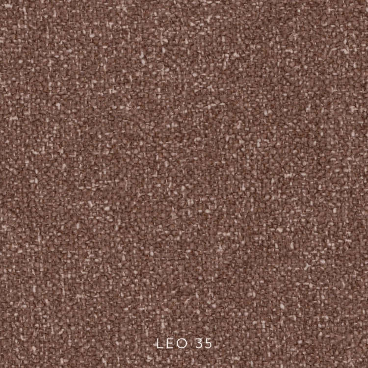 leo-35.jpg