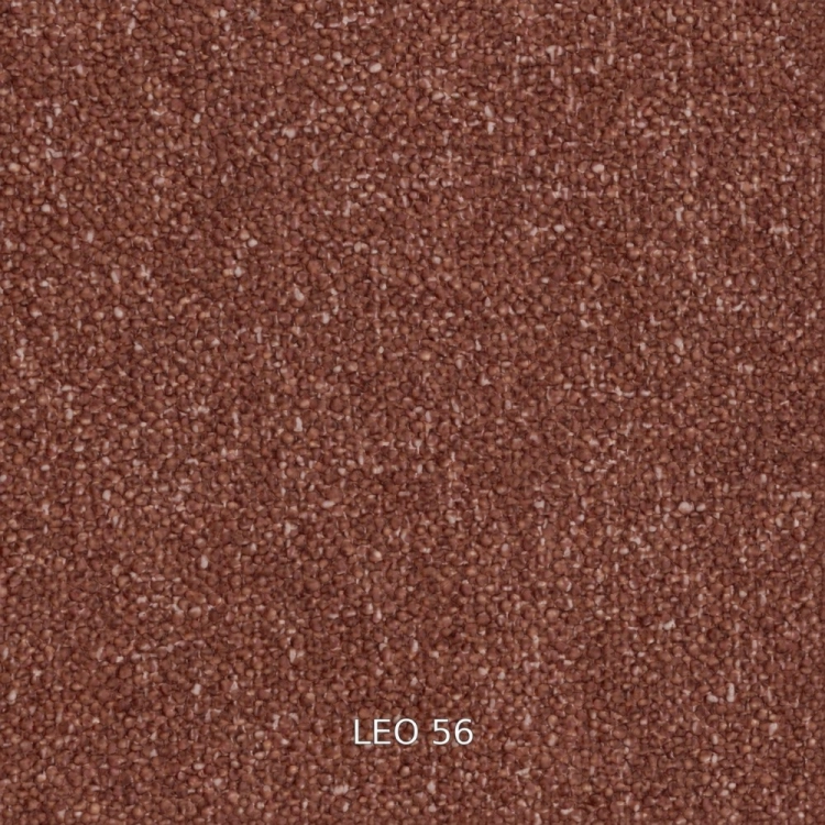 leo-56.jpg