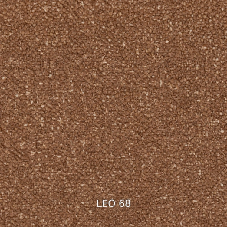 leo-68.jpg