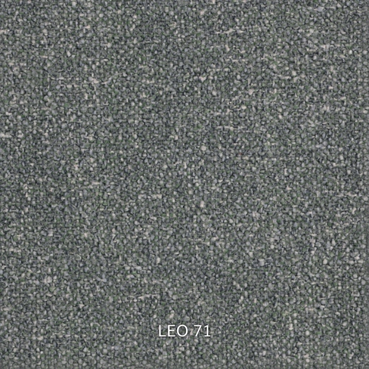 leo-71.jpg