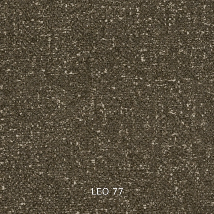 leo-77.jpg