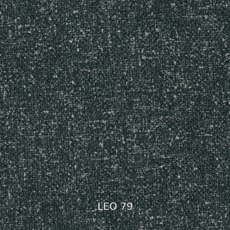 leo-79.jpg