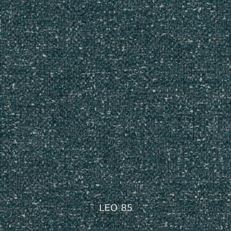 leo-85.jpg
