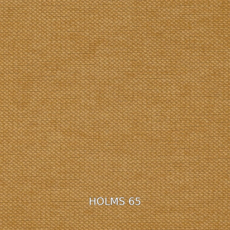 HOLMS-65-1000x1000.jpg