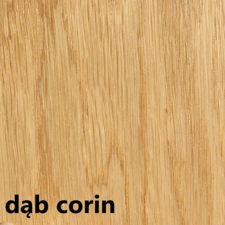 dąb corin.jpg