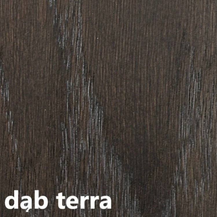 dąb terra.jpg