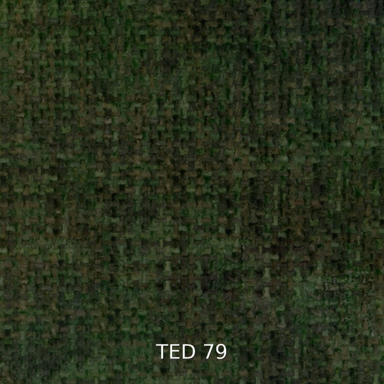 Próbka tkaniny TED 79.jpg