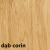 dąb corin.jpg