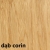 dąb corin.jpg